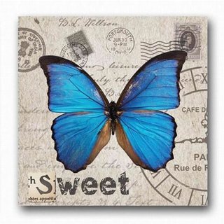 Dekoratives Bild Schmetterling blau Butterfly Schrift