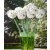 Dekoblume Kunstblume Agapanthus Blume Dekoration weiß grün 3 Stück
