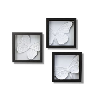 Papila Umbra Design 3 Bilder Schmetterling Butterfly