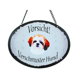Tierschild Hund - Shih Tzu  - Wandschild Blechschild Türschild wetterfest