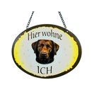 Tierschild Hund - Labrador  - Wandschild Blechschild...