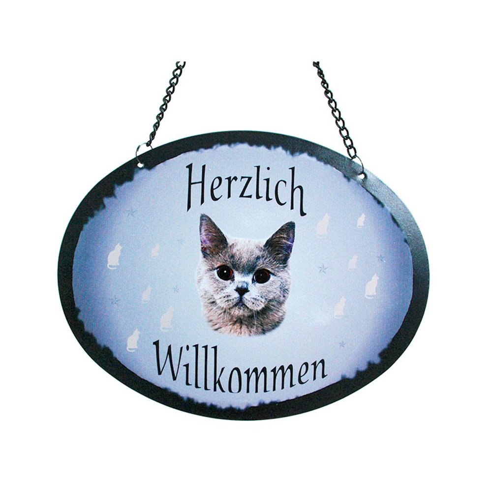 Tierschild Katze - Britische Kurzhaar Katze - Wandschild Blechschild Türschild wetterfest