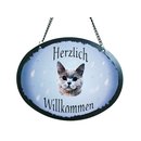 Tierschild Katze - Britische Kurzhaar Katze - Wandschild...