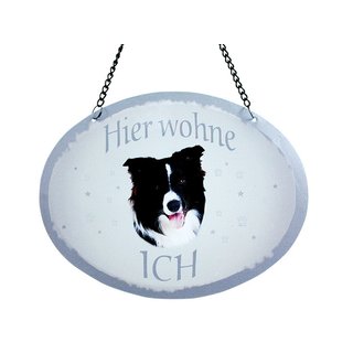 Tierschild Hund - Border Collie - Wandschild Blechschild Türschild wetterfest