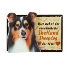 Tiermagnet Zettelhalter 3D Shetland Sheepdog Hundemagnet...