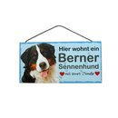 Tierschild Hund Holzschild Türschild - Berner...