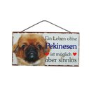 Tierschild Hund Holzschild Türschild - Pekinesen -...