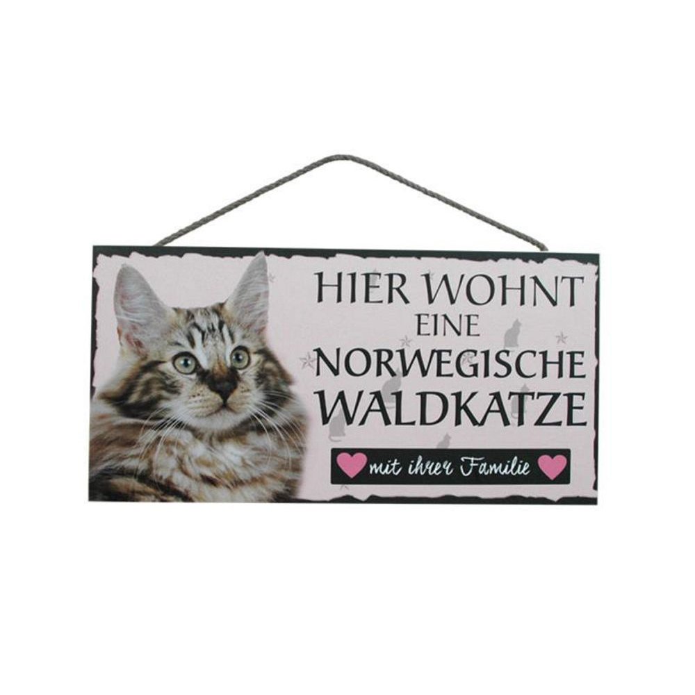 Tierschild Katze Türschild Wandschild - Norwegische Waldkatze - Holzschild