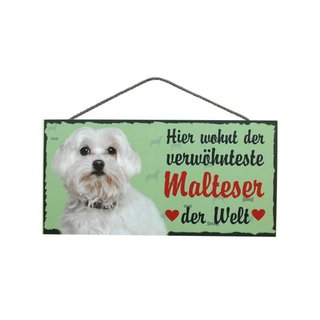 Tierschild Hund Holzschild Türschild - Malteser - Wandschild
