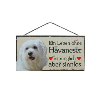 Tierschild Hund Holzschild Türschild - Havaneser - Wandschild