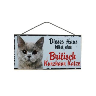 Tierschild Katze Türschild Wandschild - Britische Kurzhaar Katze - Holzschild