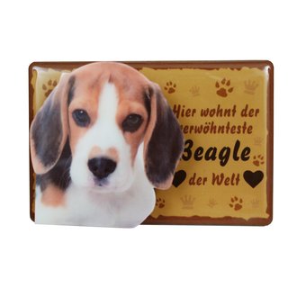 Tiermagnet Zettelhalter 3D Beagle Hundemagnet Magnet
