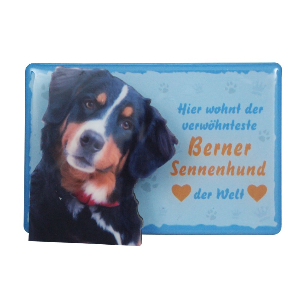 Tiermagnet Zettelhalter 3D Berner Sennenhund Hundemagnet Magnet