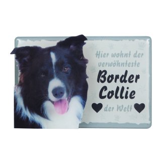 Tiermagnet Zettelhalter 3D Border Collie Hundemagnet Magnet