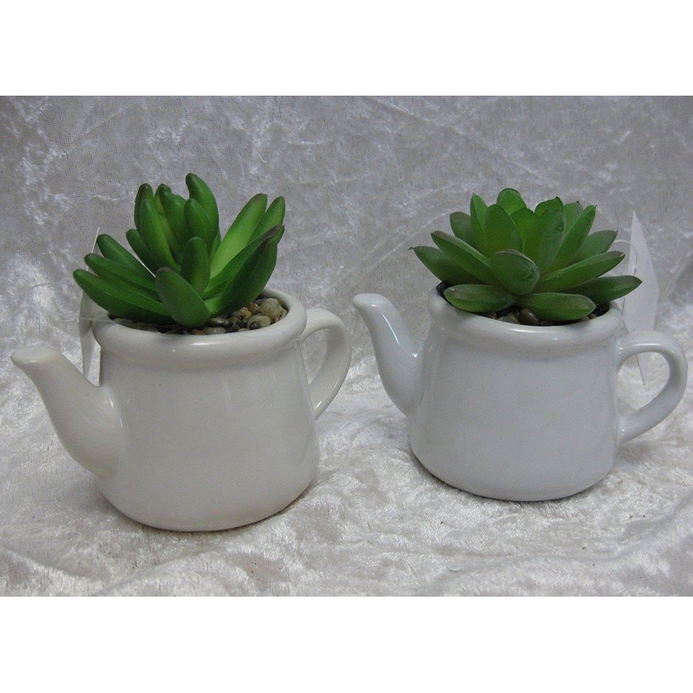 Kaktus Kakteen 2-er Set Kunstpflanze Deko im Keramiktopf Kännchen Kaffeekanne