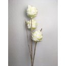 Foam Flower Blossom mit 3 Blüten in creme/weiss...