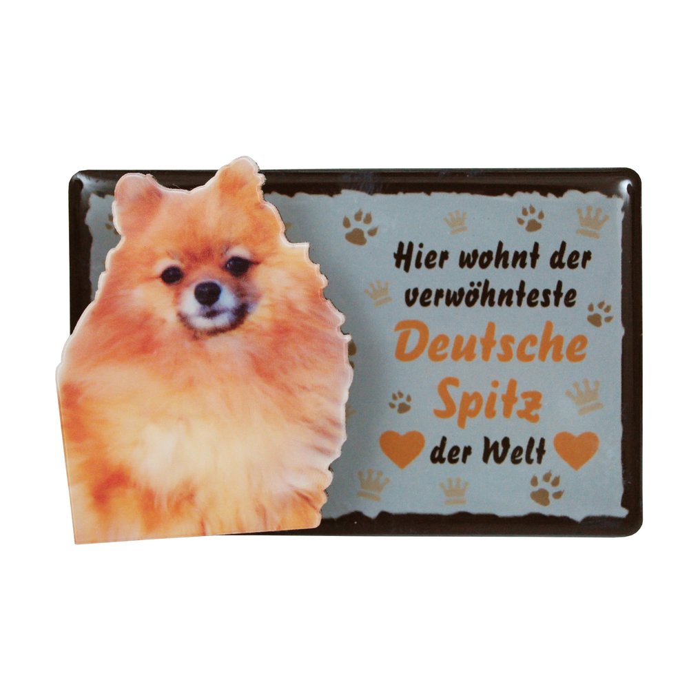 Tiermagnet Zettelhalter 3D Deutsche Spitz Hundemagnet Magnet