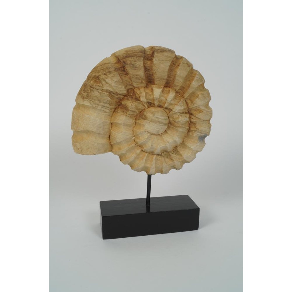 Dekorativer Eyecatcher Fossil aus Mangoholz auf Sockel Skulptur