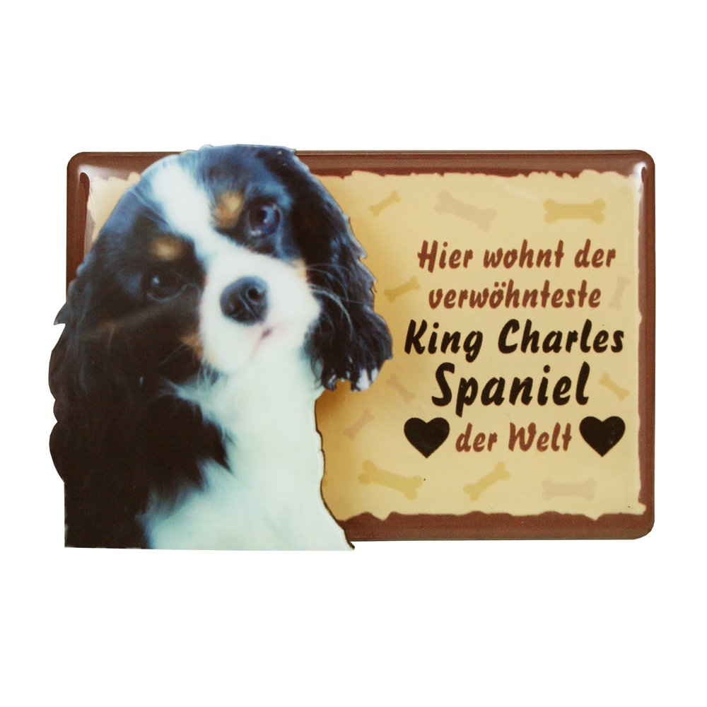 Tiermagnet Zettelhalter 3D King Charles Spaniel Hundemagnet Magnet