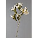 Foam Flower Salvador Farbe weiß/creme/grün 110...