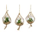 Kunstpflanze Sukkulenten im Glastopf zum Hängen künstliche Pflanze Dekopflanze Fensterdeko