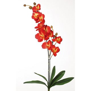 Wunderbare Orchidee Kunstblume Blume Dekoblume rot 80 cm