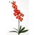 Wunderbare Orchidee Kunstblume Blume Dekoblume rot 80 cm