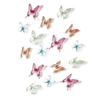 Mariposa color Wanddeko Wanddekoration Wandbild Schmetterling Butterfly Umbra 3D Wandtattoo Frühling Sommer