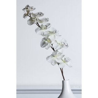 Wunderbare Orchidee Kunstblume Blume Dekoblume weiß